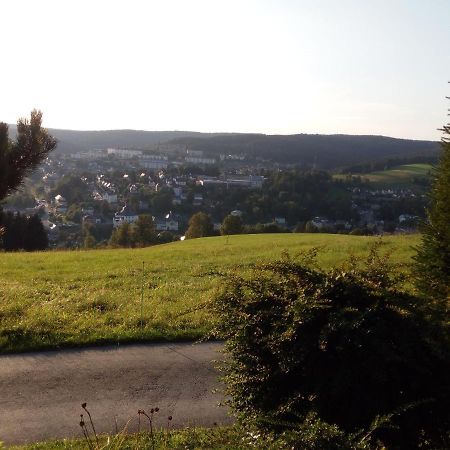 Ferienwohnung Koernerberg Klingenthal Εξωτερικό φωτογραφία