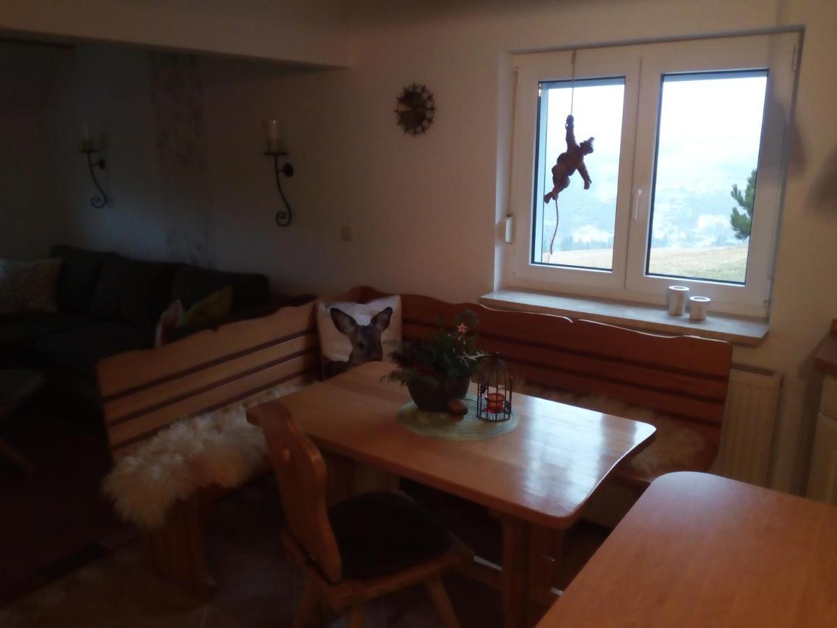 Ferienwohnung Koernerberg Klingenthal Εξωτερικό φωτογραφία