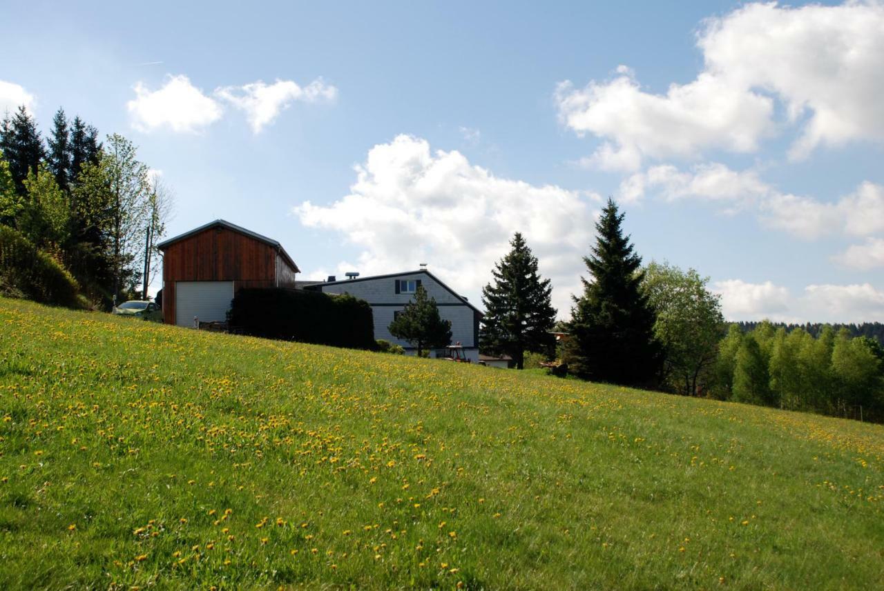 Ferienwohnung Koernerberg Klingenthal Εξωτερικό φωτογραφία