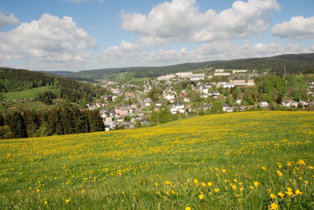 Ferienwohnung Koernerberg Klingenthal Εξωτερικό φωτογραφία